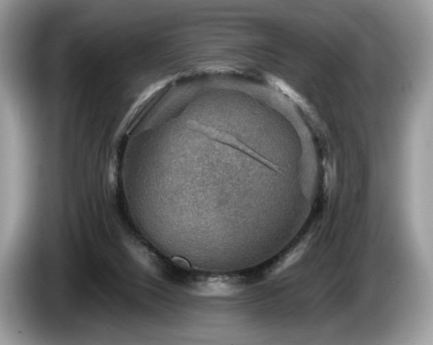 X0000087620064200704271406