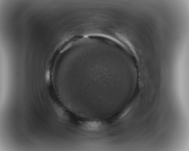 X0000087620067200704271406