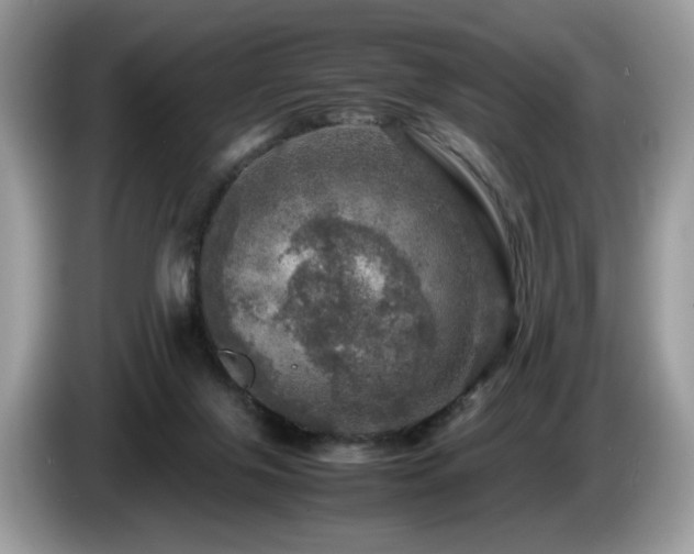 X0000087620071200704271406