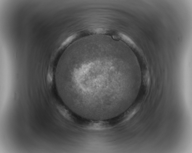 X0000087620072200704271406