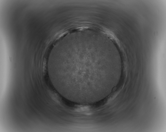 X0000087620073200704271406