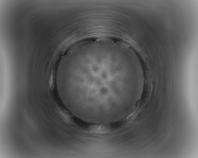 X0000087620074200704271406