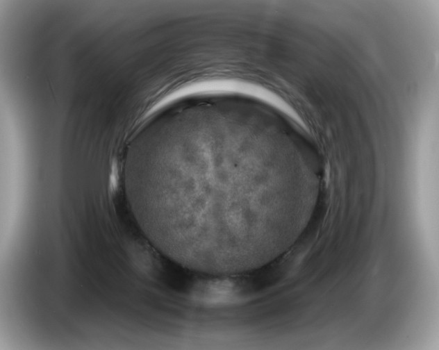 X0000087620075200704271406