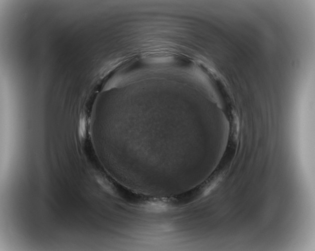 X0000087620076200704271406