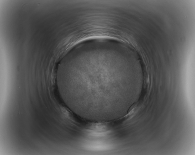 X0000087620078200704271406