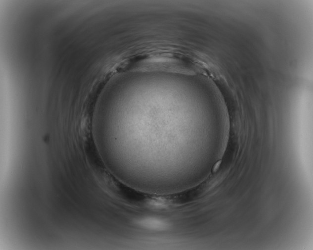X0000087620079200704271406