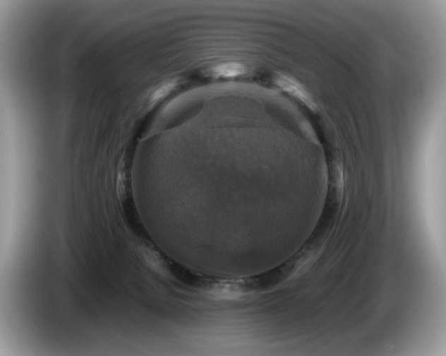 X0000087620080200704271406