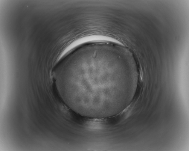X0000087620082200704271406