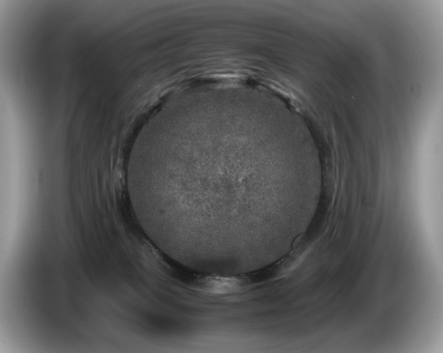 X0000087620085200704271406