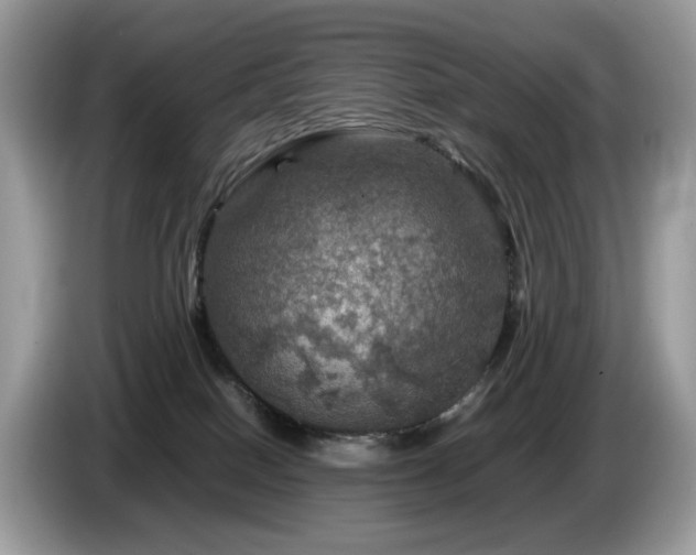 X0000087620086200704271406