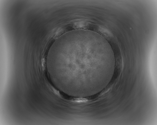 X0000087620087200704271406