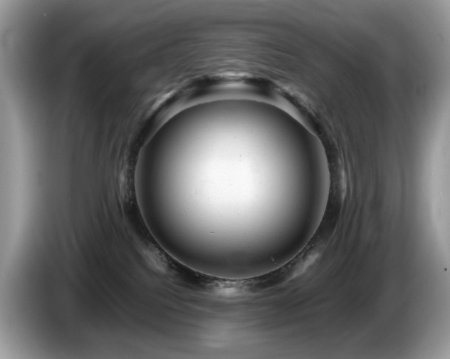 X0000087620088200704271406