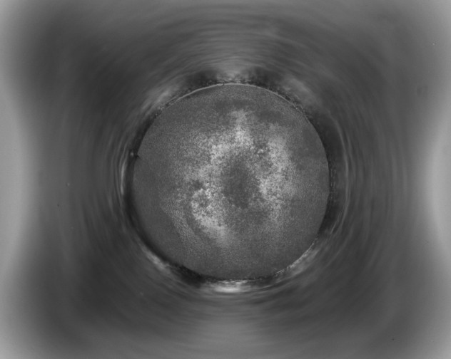 X0000087620090200704271406