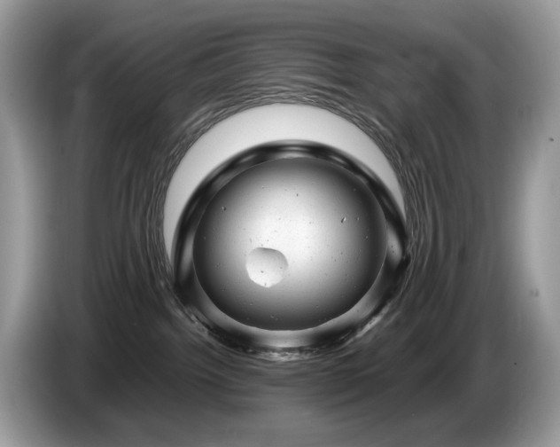 X0000087620092200704271406
