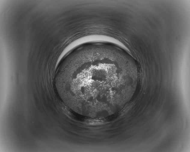 X0000087620093200704271406