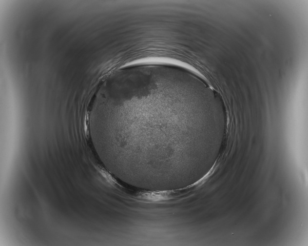 X0000087620094200704271406