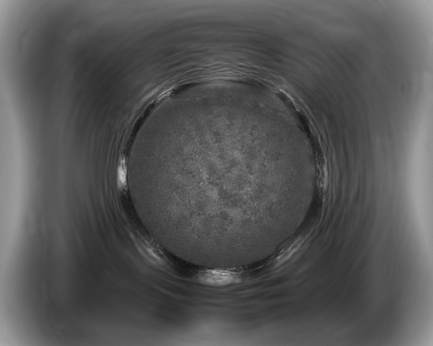 X0000087620095200704271406