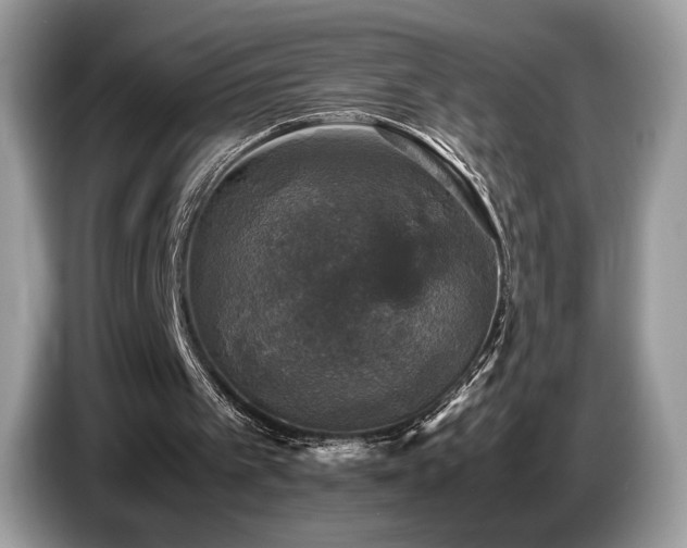 X0000087620097200704271406