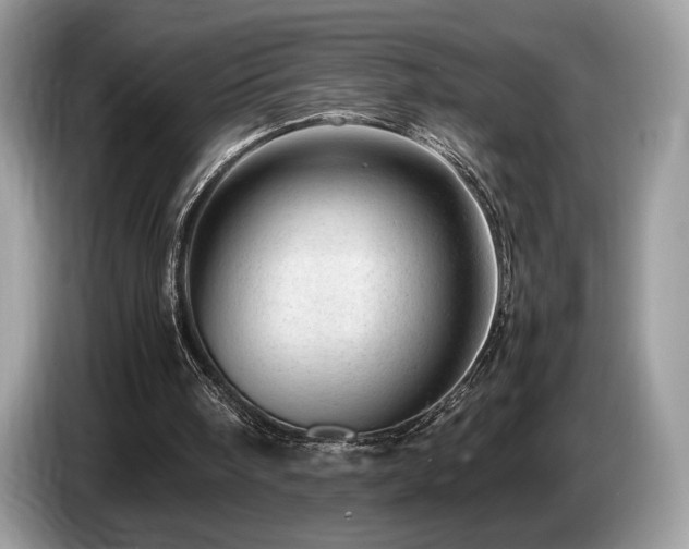 X0000087620098200704271406
