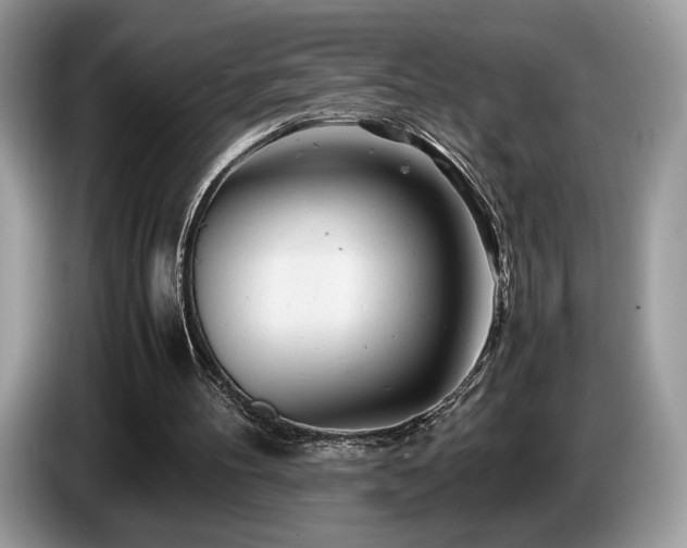 X0000087620100200704271406
