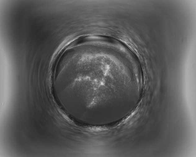 X0000087620101200704271406
