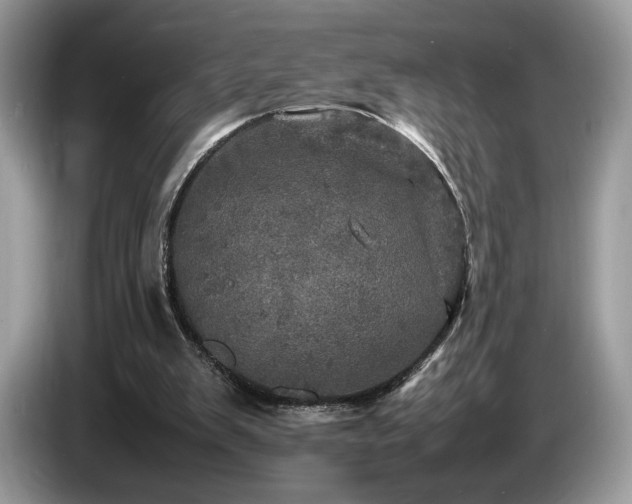 X0000087620103200704271406
