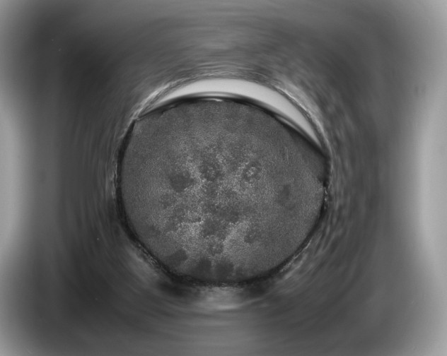 X0000087620107200704271405