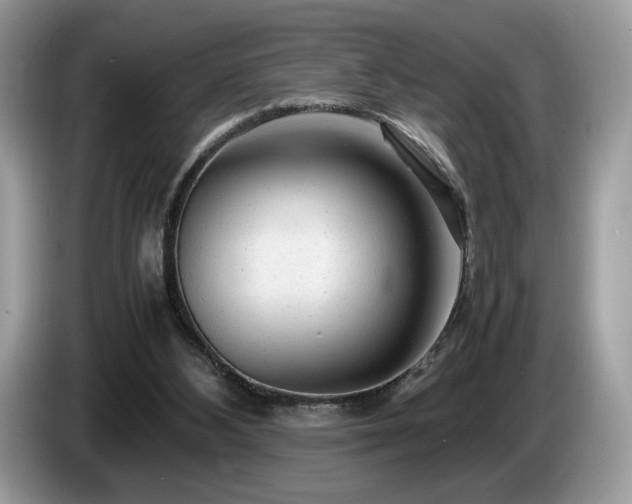 X0000087620108200704271405