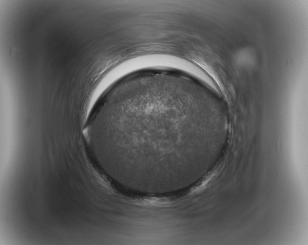 X0000087620109200704271405