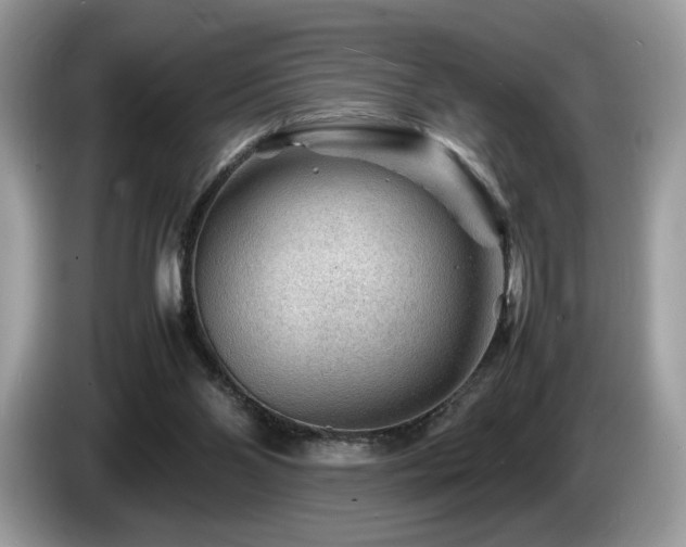 X0000087620110200704271405