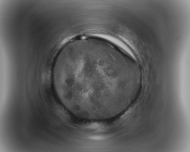 X0000087620111200704271405