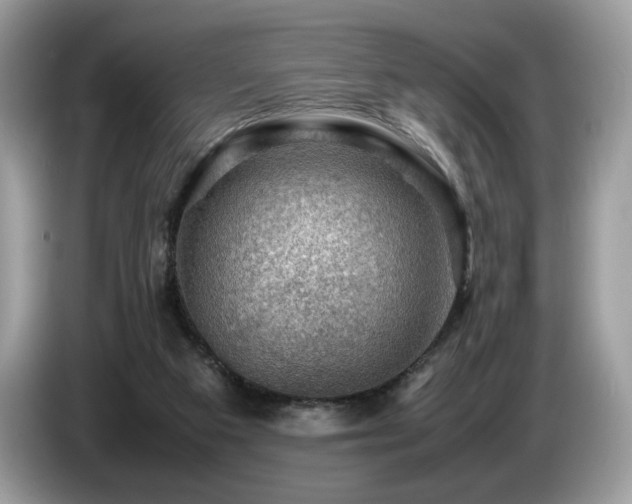 X0000087620113200704271405