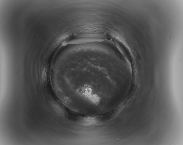 X0000087620114200704271405