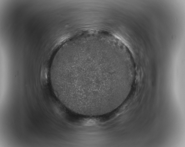 X0000087620115200704271405