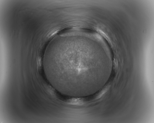 X0000087620117200704271405