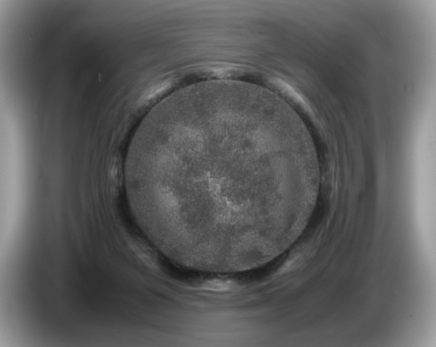 X0000087620119200704271405