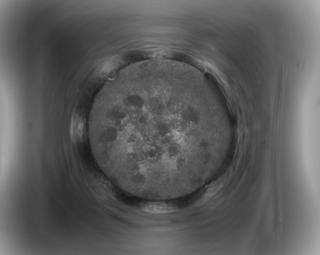 X0000087620123200704271405
