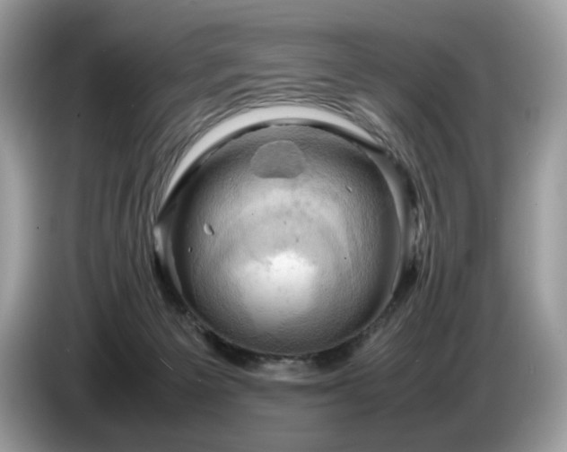 X0000087620125200704271405