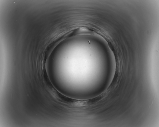 X0000087620126200704271405