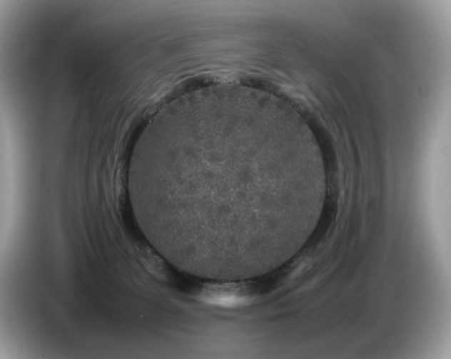X0000087620131200704271405
