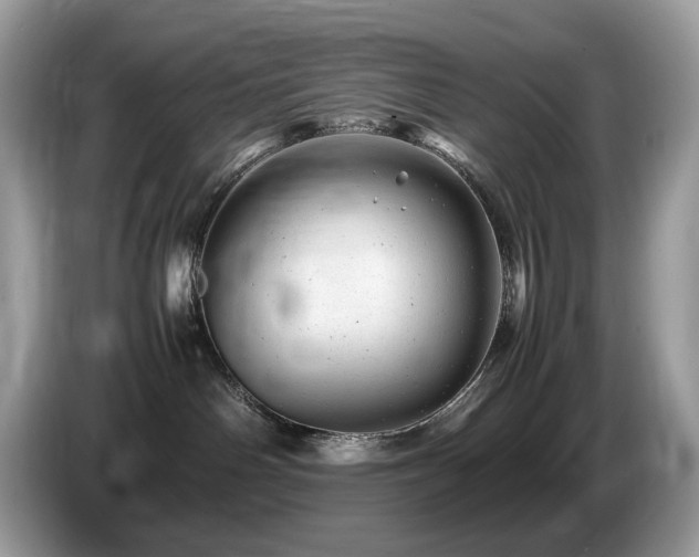 X0000087620142200704271405