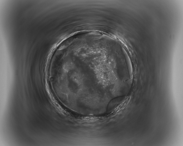 X0000087620145200704271405