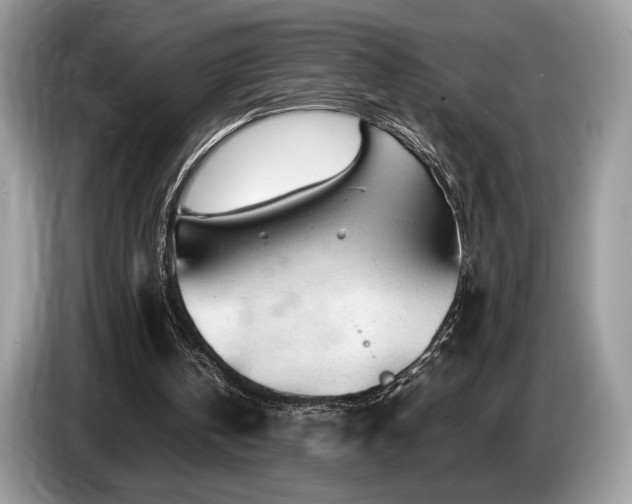 X0000087620146200704271405