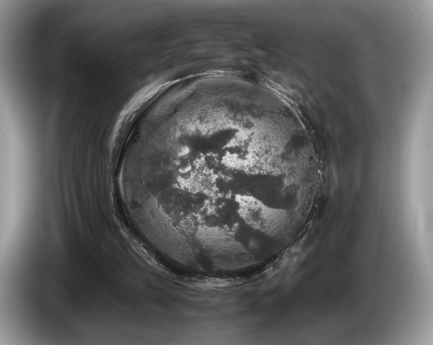X0000087620149200704271405