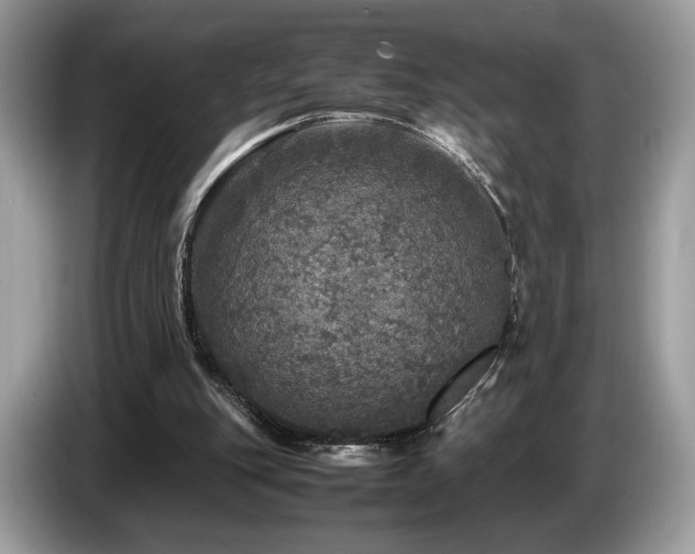 X0000087620151200704271405