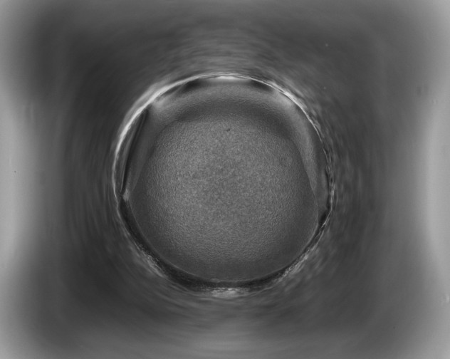 X0000087620152200704271405