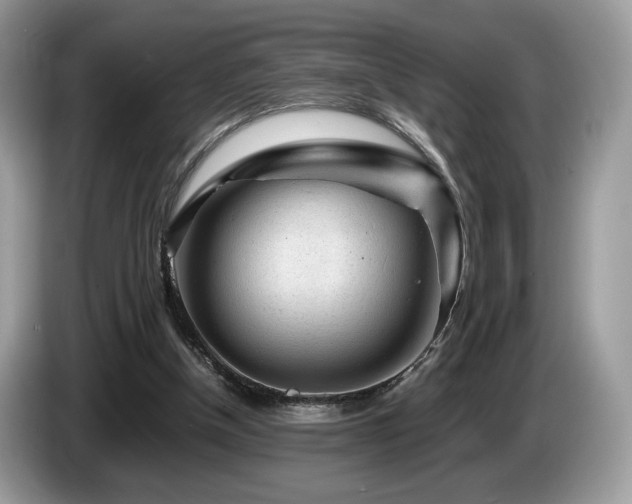 X0000087620154200704271405