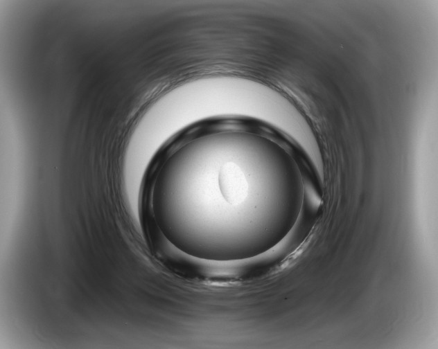 X0000087620158200704271405