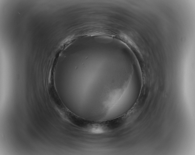X0000087620163200704271405