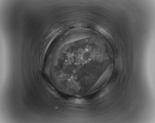 X0000087620165200704271405